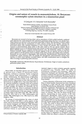 Origins and Nature of Vessels in Monocotyledons. 10. Boryaceae: Xeromorphic Xylem Structure in a Resurrection Plant