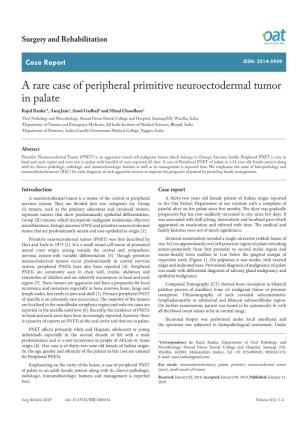 A Rare Case of Peripheral Primitive Neuroectodermal Tumor in Palate