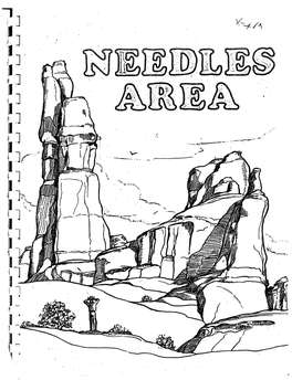 Field Investigation Report, Proposed Needles