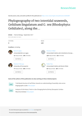 Phylogeography of Two Intertidal Seaweeds, Gelidium Lingulatum and G