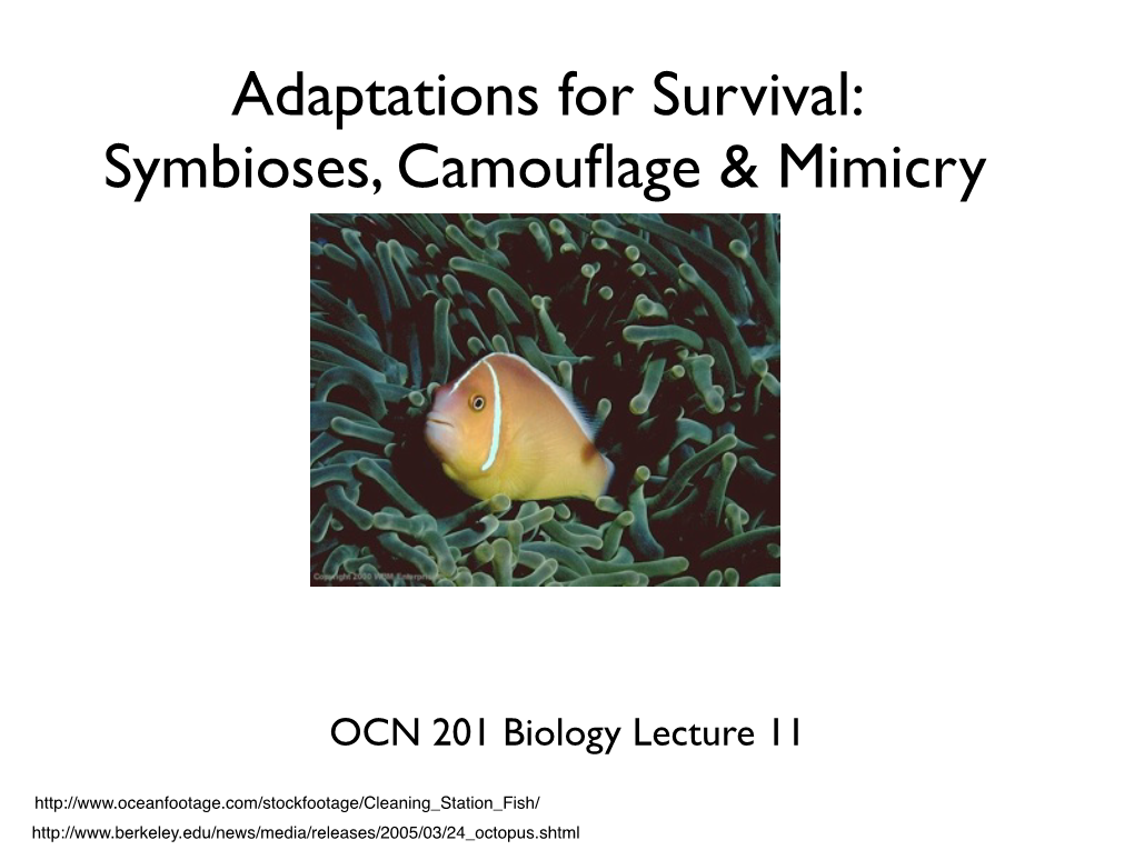 Adaptations for Survival: Symbioses, Camouflage