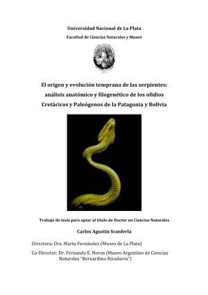 El Origen Y Evolución Temprana De Las Serpientes: Análisis Anatómico Y Filogenético De Los Ofidios Cretácicos Y Paleógenos De La Patagonia Y Bolivia