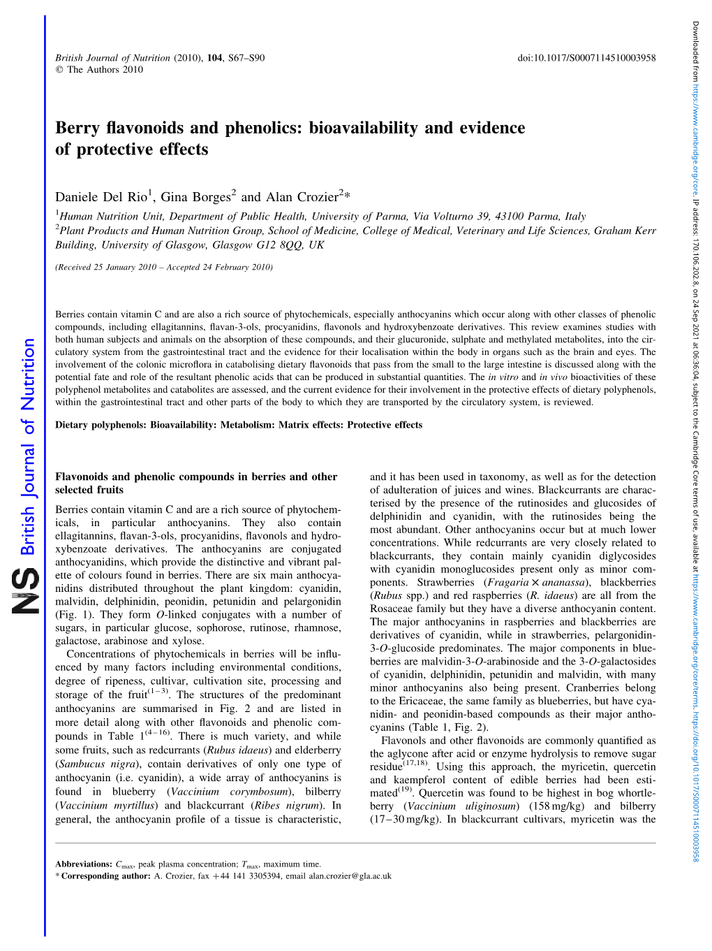 Berry Flavonoids and Phenolics: Bioavailability and Evidence of Protective Effects