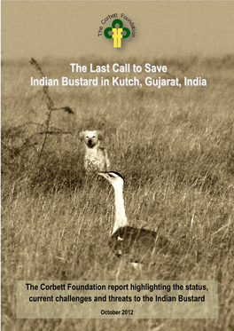The Last Call to Save Indian Bustard in Kutch, Gujarat, India