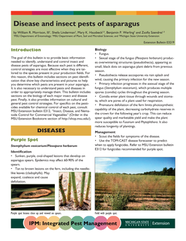 Disease and Insect Pests of Asparagus by William R