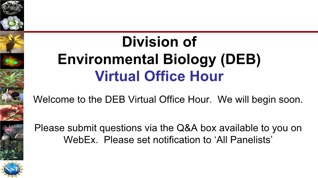 DEB Virtual Office Hour