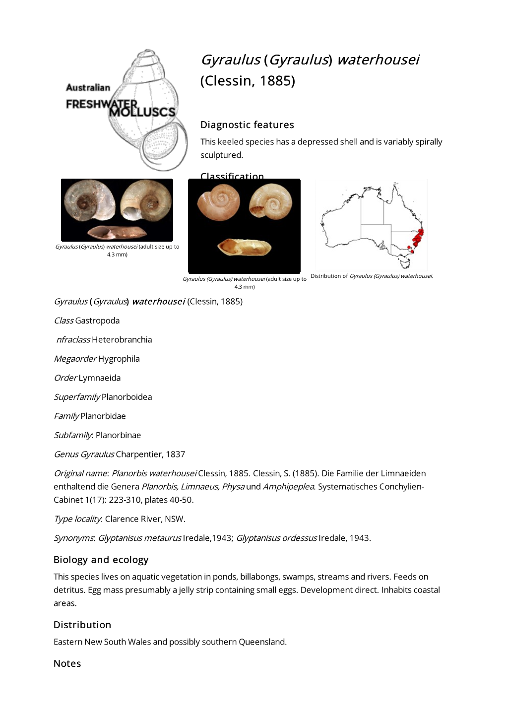 Gyraulus) Waterhousei (Clessin, 1885