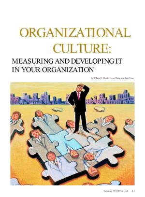 Organizational Culture: Measuring and Developing It in Your Organization