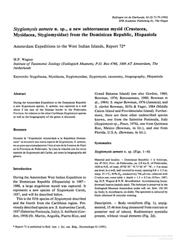 Stygiomysis Aemete N. Sp., a New Subterranean Mysid (Crustacea, Mysidacea, Stygiomysidae) from the Dominican Republic, Hispaniola