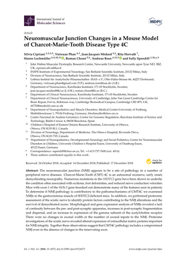 Neuromuscular Junction Changes in a Mouse Model of Charcot-Marie-Tooth Disease Type 4C