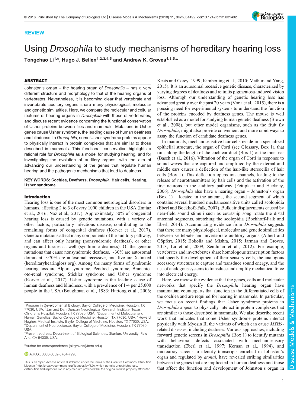 Using Drosophila to Study Mechanisms of Hereditary Hearing Loss Tongchao Li1,*, Hugo J