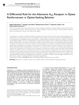 A Differential Role for the Adenosine A2A Receptor in Opiate Reinforcement Vs Opiate-Seeking Behavior
