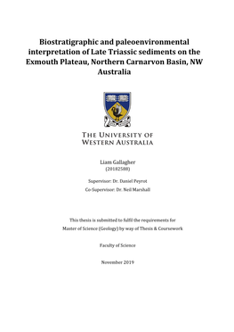 Biostratigraphic and Paleoenvironmental Interpretation of Late Triassic Sediments on the Exmouth Plateau, Northern Carnarvon Basin, NW Australia