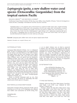 Leptogorgia Ignita, a New Shallow-Water Coral Species (Octocorallia: Gorgoniidae) from the Tropical Eastern Paciﬁc Odalisca Breedy1,2 and Hector M