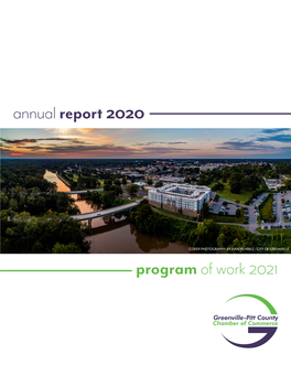 Annualreport 2020 Program of Work 2021