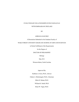 Evolutionary Relationships in Polygonaceae with Emphasis on Triplaris
