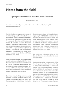 Sighting Records of Hornbills in Western Brunei Darussalam