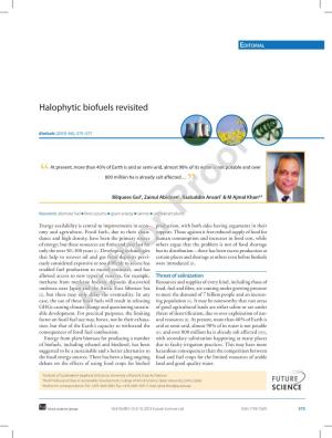 Halophytic Biofuels Revisited