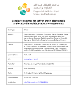 Candidate Enzymes for Saffron Crocin Biosynthesis Are Localized in Multiple Cellular Compartments