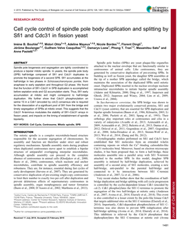 Cell Cycle Control of Spindle Pole Body Duplication and Splitting by Sfi1 and Cdc31 in Fission Yeast