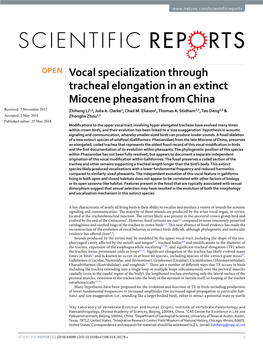 Vocal Specialization Through Tracheal Elongation in an Extinct Miocene Pheasant from China Received: 7 November 2017 Zhiheng Li1,2, Julia A