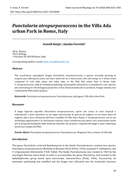 Punctularia Atropurpurascens in the Villa Ada Urban Park in Rome, Italy