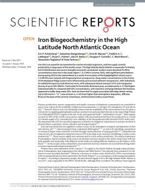 Iron Biogeochemistry in the High Latitude North Atlantic Ocean Eric P