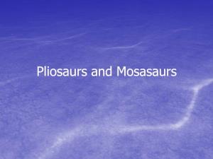 Mosasaurs Continuing from Last Time…
