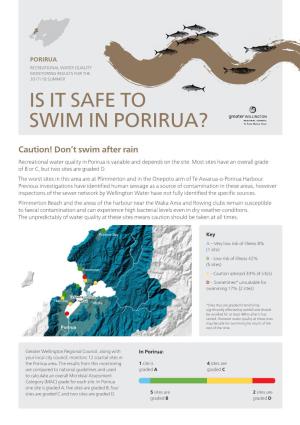 Is It Safe to Swim in Porirua?