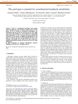 The Gun4 Gene Is Essential for Cyanobacterial Porphyrin Metabolism