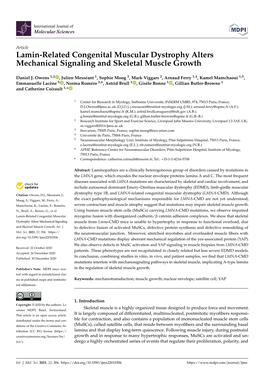 Lamin-Related Congenital Muscular Dystrophy Alters Mechanical Signaling and Skeletal Muscle Growth