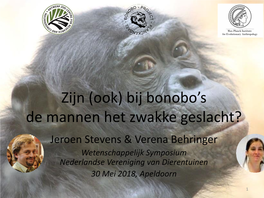 Groei En Ontwikkeling Bonobo's