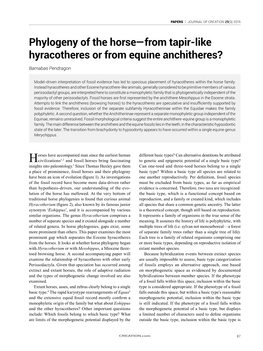 Phylogeny of the Horse—From Tapir-Like Hyracotheres Or from Equine Anchitheres?
