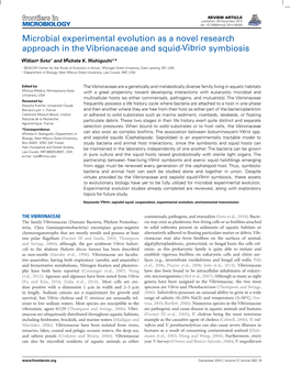 Microbial Experimental Evolution As a Novel Research Approach in the Vibrionaceae and Squid-Vibrio Symbiosis