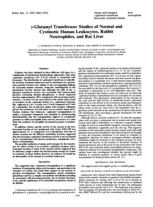 Y-Glutamyl Transferase Neutrophiles Leucocytes, Cystinotic Human
