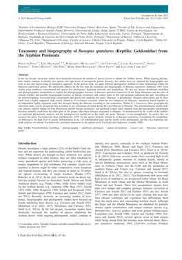 Taxonomy and Biogeography of Bunopus Spatalurus (Reptilia; Gekkonidae) from the Arabian Peninsula