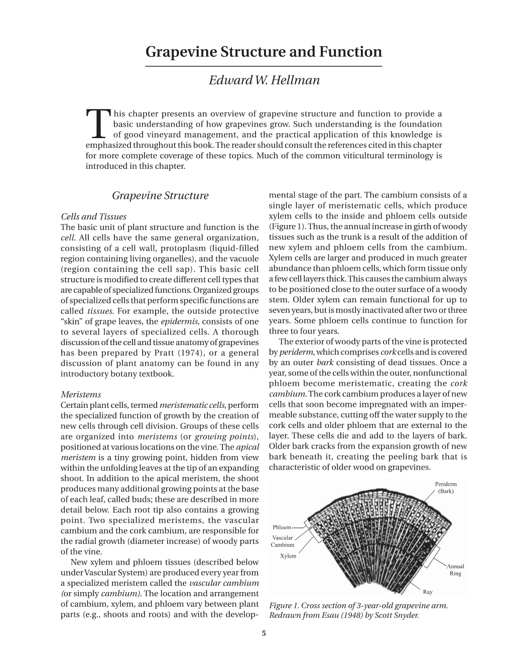 Grapevine Structure and Function