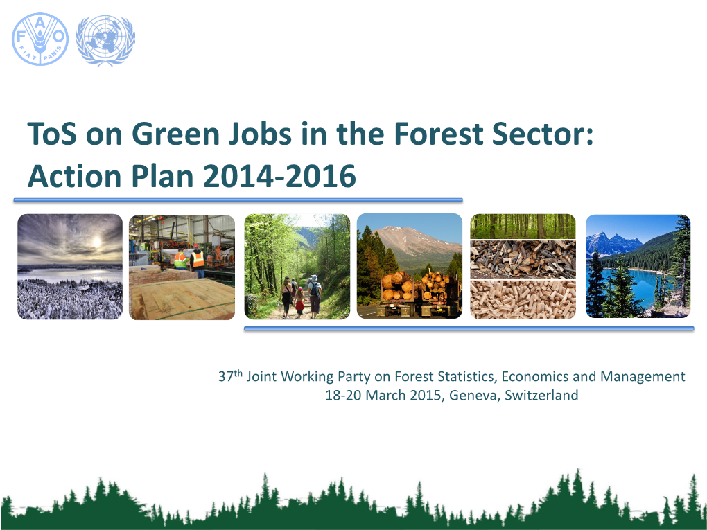 Tos on Green Jobs in the Forest Sector: Action Plan 2014-2016