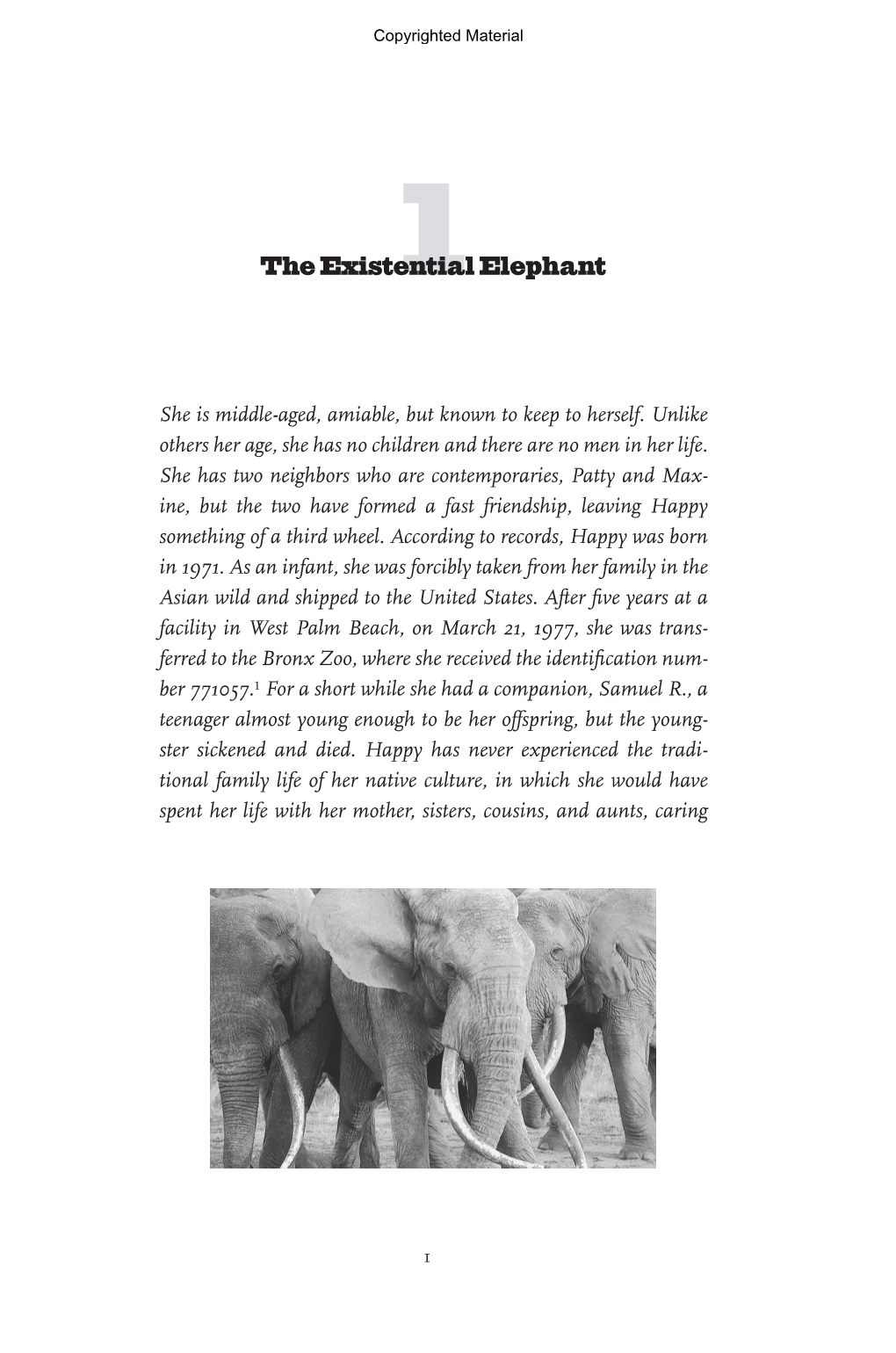 The Existential Elephant