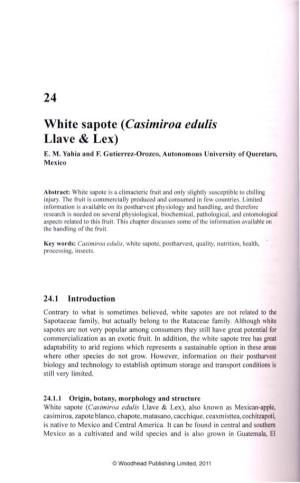 White Sapote (Casimiroa Edulis Llave & Lex) E