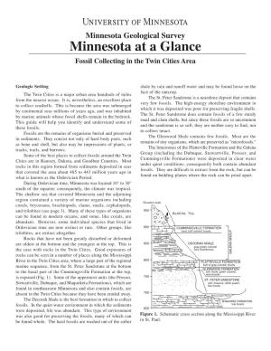 Minnesota at a Glance Fossil Collecting in the Twin Cities Area