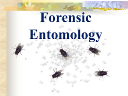 Forensic Entomology Metamorphosis Process by Which an Organism Undergoes Distinct Changes from Young to Adult Form