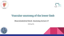 Vascular Anatomy of the Lower Limb