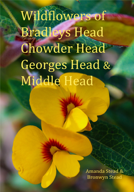Wildflowers of Bradleys Head&