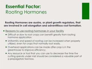 Rooting Hormones