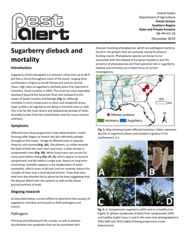 Sugarberry Dieback and Mortality Is an Expanding Forest Health Challenge Facing the Southern United States
