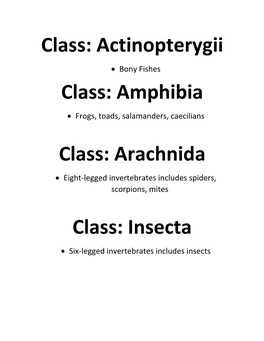 Actinopterygii Class: Amphibia Class: Arachnida Class: Insecta