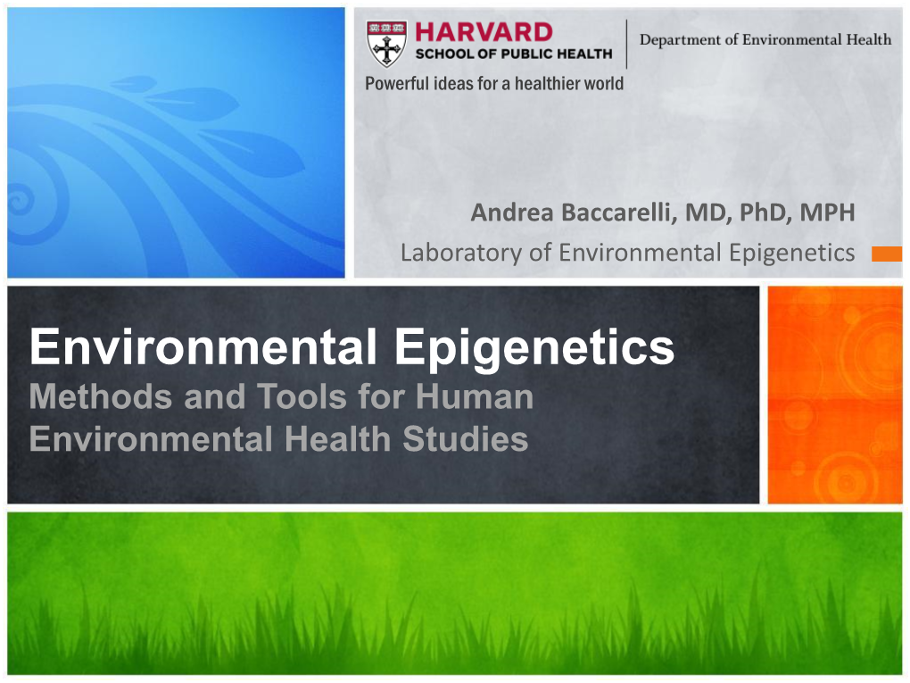 Environmental Epigenetics