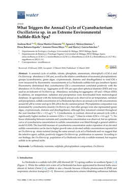 What Triggers the Annual Cycle of Cyanobacterium Oscillatoria Sp. in an Extreme Environmental Sulﬁde-Rich Spa?