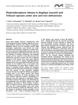 Phytosiderophore Release in Aegilops Tauschii and Triticum Species Under Zinc and Iron Deficiencies